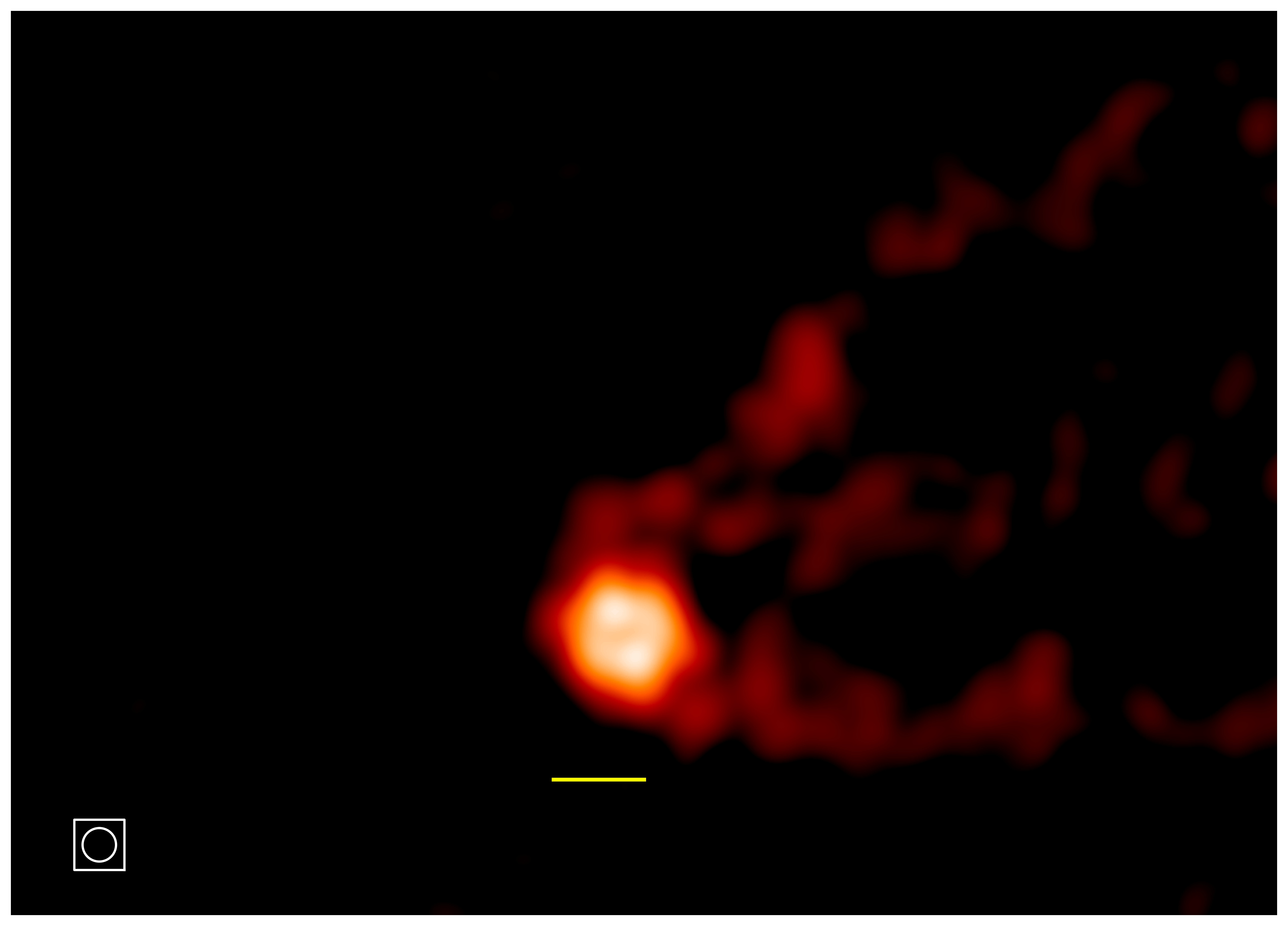 fig1b_notext
