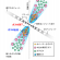 NGC4261の中心部のガスの分布の想像図。Copyright / Sawada-Satoh et al. (2023) PASJ, Vol.75, Issue 4, p.722