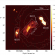 Caption: GMRT radio image of the central region of the Hydra Cluster.