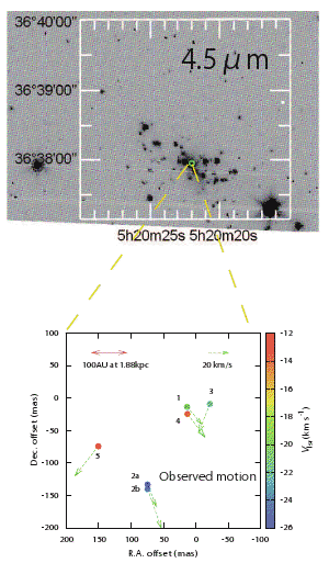 fig.1